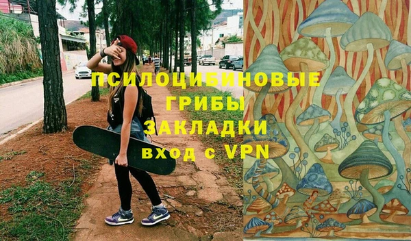 тгк Лагань