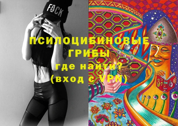 тгк Лагань