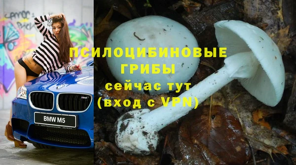 тгк Лагань