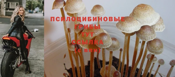 тгк Лагань