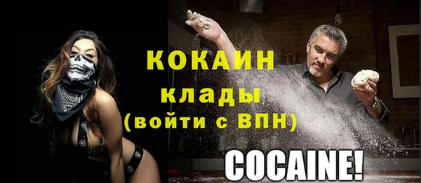 тгк Лагань