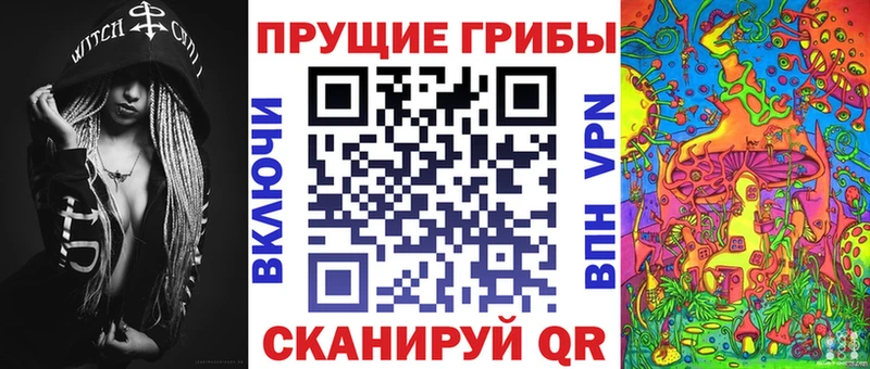 Галлюциногенные грибы Psilocybe  Усть-Кут 