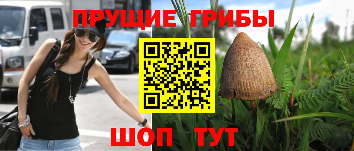 Псилоцибиновые грибы мухоморы  Вход с VPN  Усть-Кут 